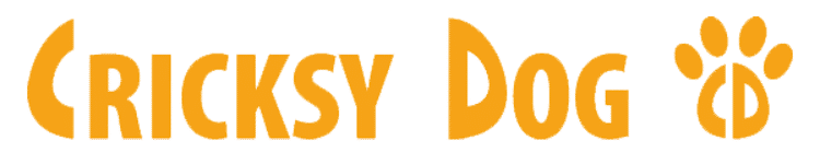 Darmowa dostawa do domu